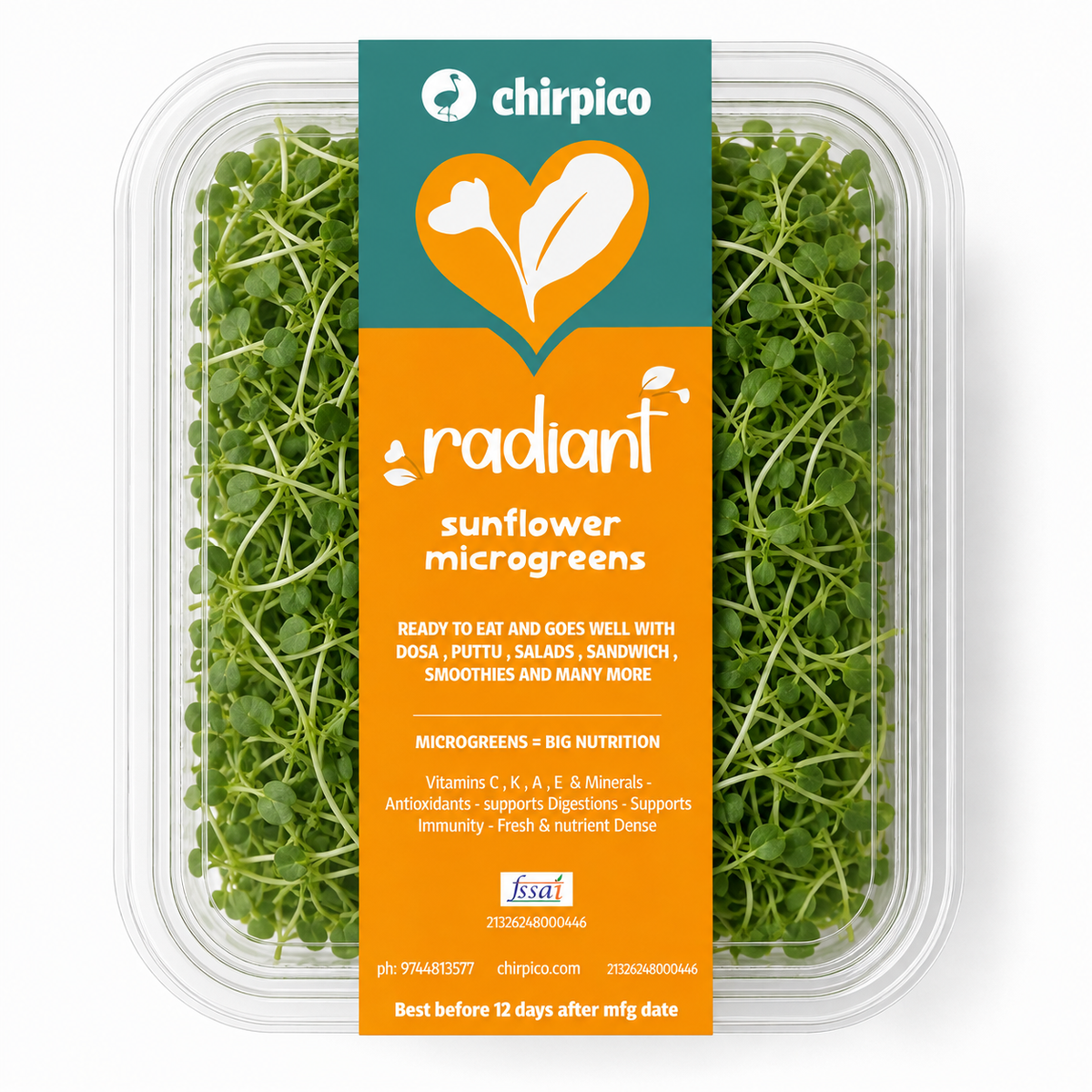 sunflower microgreen
